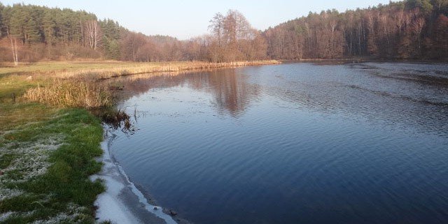 Spływ Sylwestrowy - Stara Rzeka - Tleń