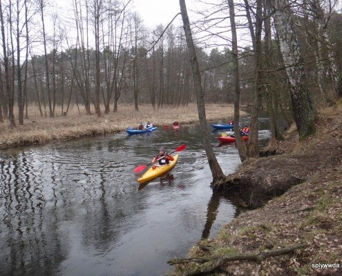 Spływ zimowy Wda 2015